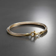 Dual Tone Snake Chain Bracelet