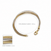 Dual Tone Snake Chain Bracelet